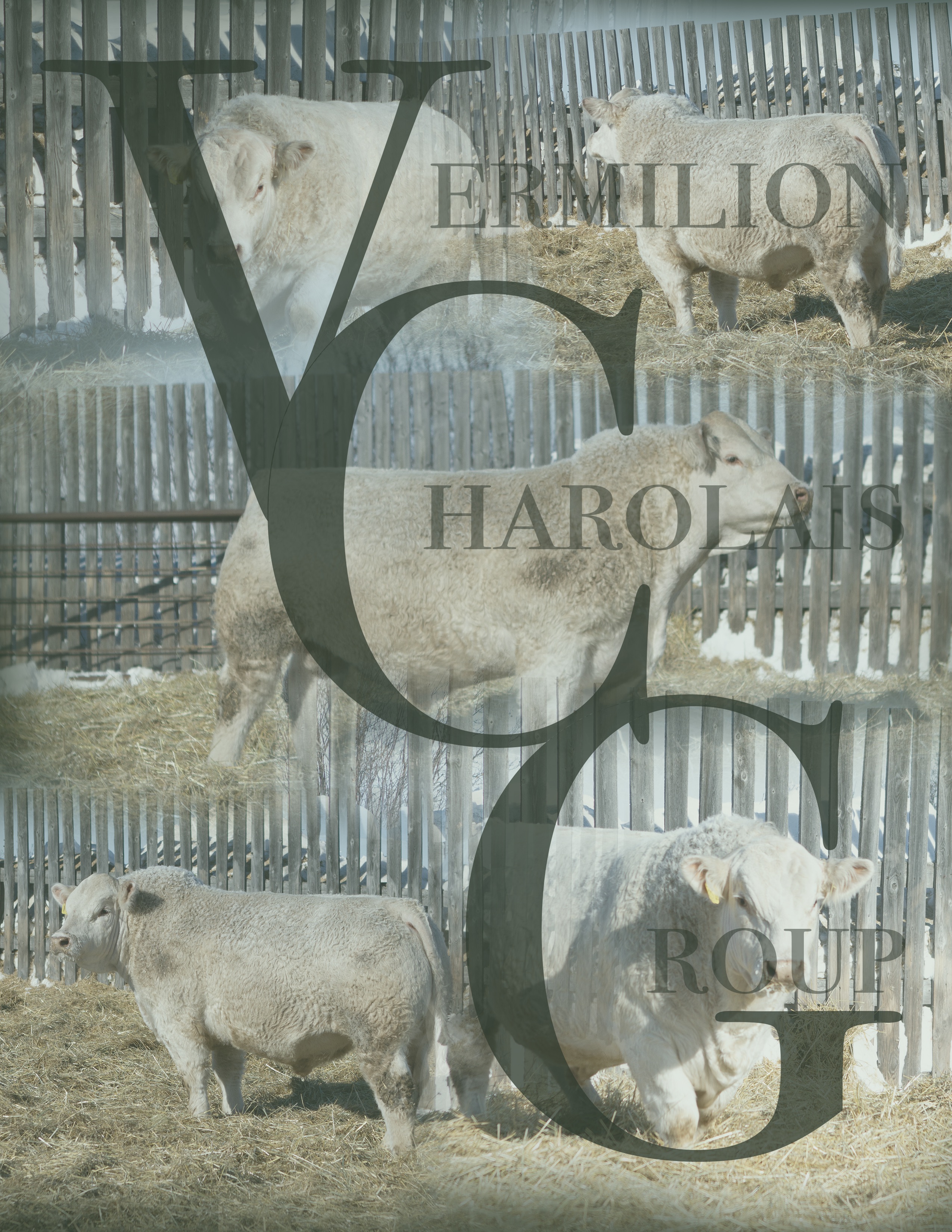 Bar SK Cattle Co logo